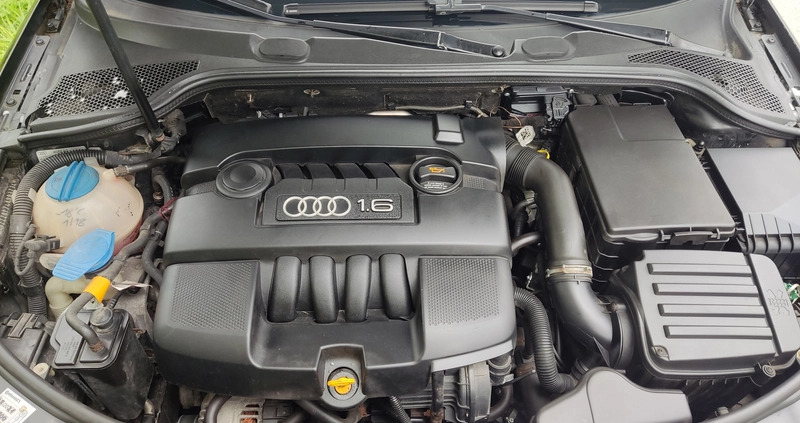 Audi A3 cena 13400 przebieg: 302440, rok produkcji 2003 z Lubań małe 352
